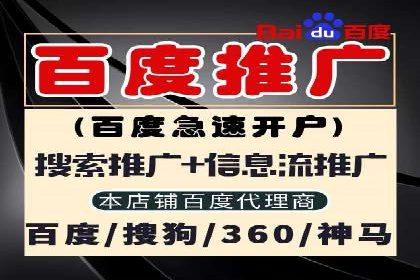 攻略解析：如何利用百度推广抢占市场份额